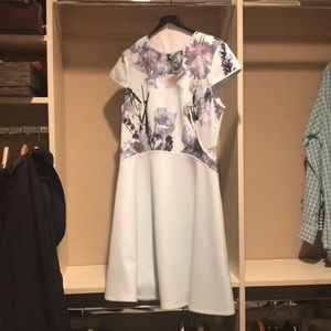 Ted Baker Dress. This dress is sized 1-5